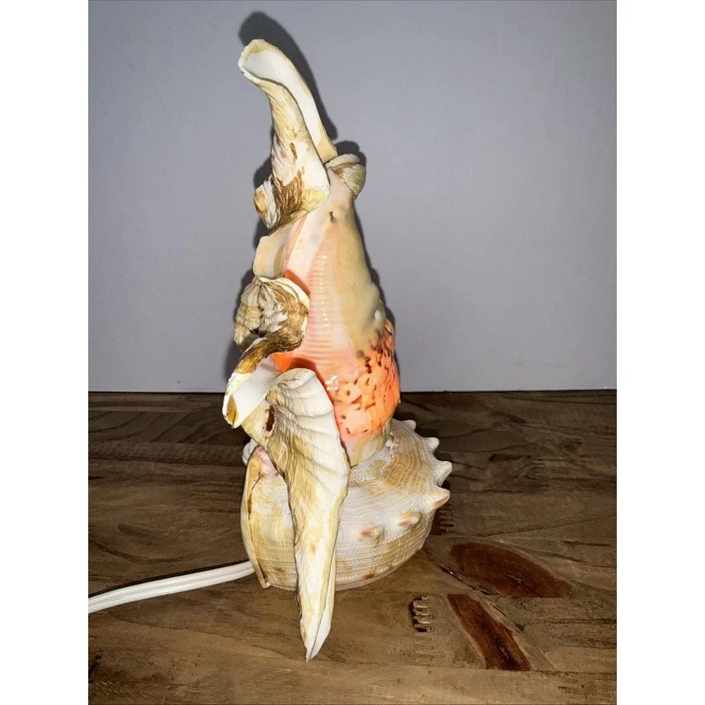Vintage Real Conch Shell Lamp Night Light Accent Light w/ In-Line Power Switch